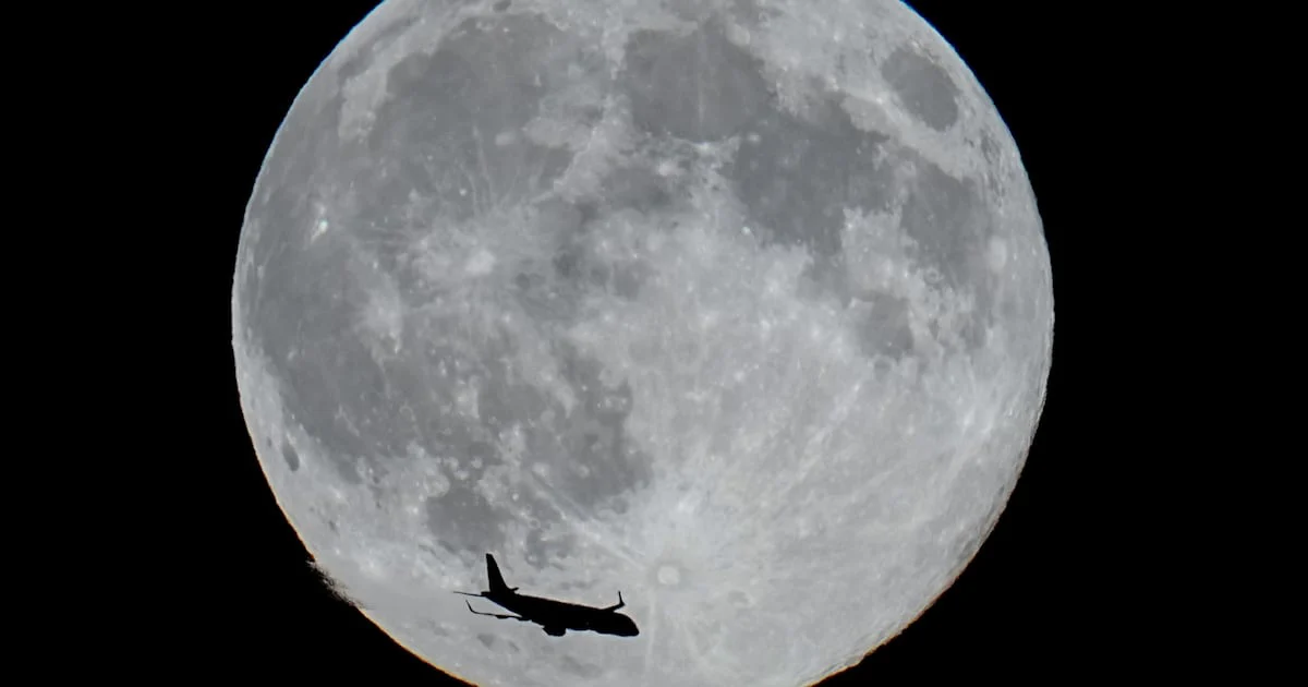 Tiệc Quái thú dưới ánh trăng